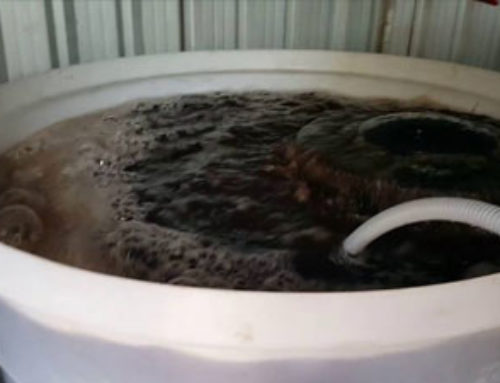 ¿Qué es el té de compost?